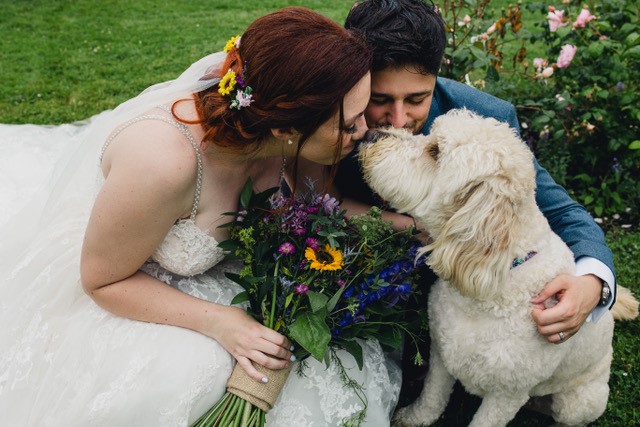 A wedding couple cuddle each other and their pet dog. The bride wears white with a colourful bouquet matched with colourful flowers in her hair. The dog has white curly hair and is reaching to kiss them.