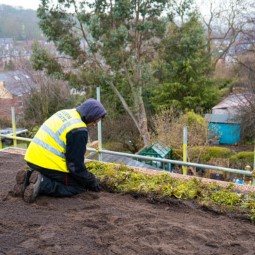 Worker in high vis laying green roof turf on a roof