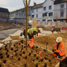 2 workers in high visibility clothing planting in a town centre