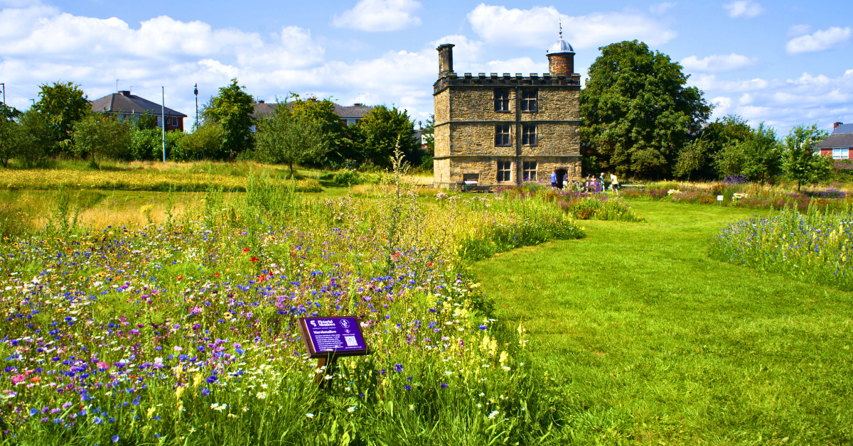 Join plant expert and gardener Gerry Firkins for a botany tour around the historic grounds of Sheffield Manor Lodge.